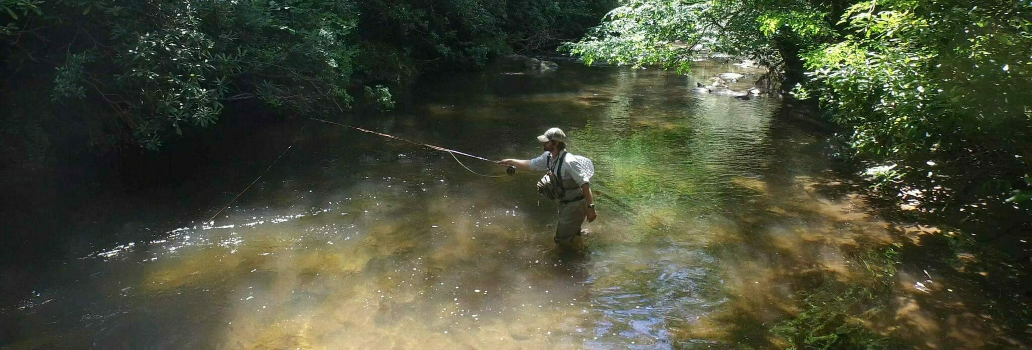 Guided Fly Fishing Trips In Brevard