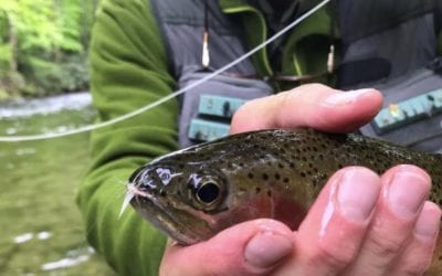 May 13th Fishing Report with Patrick Weaver