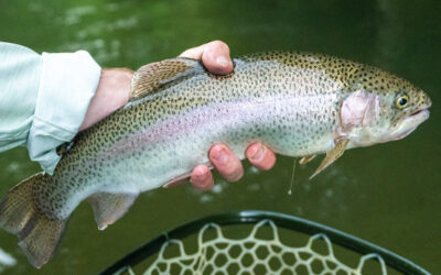 Spring Fishing is Here!