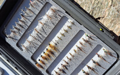 Pro Tips: Why Wet Flies Work