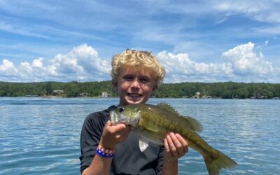 Late Summer to Fall Bass Fishing Rod and Reel Set-Ups