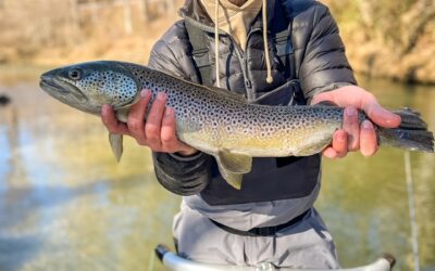 Winter Fishing with Guide Brett Meany