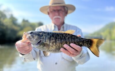 No Better Time Than Now!