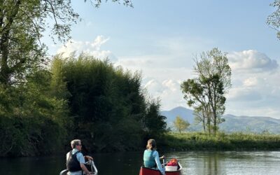 Signs of Spring – An Upper French Broad Experience